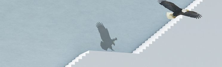 �����ʴ�(�й���)�ٷ���վ